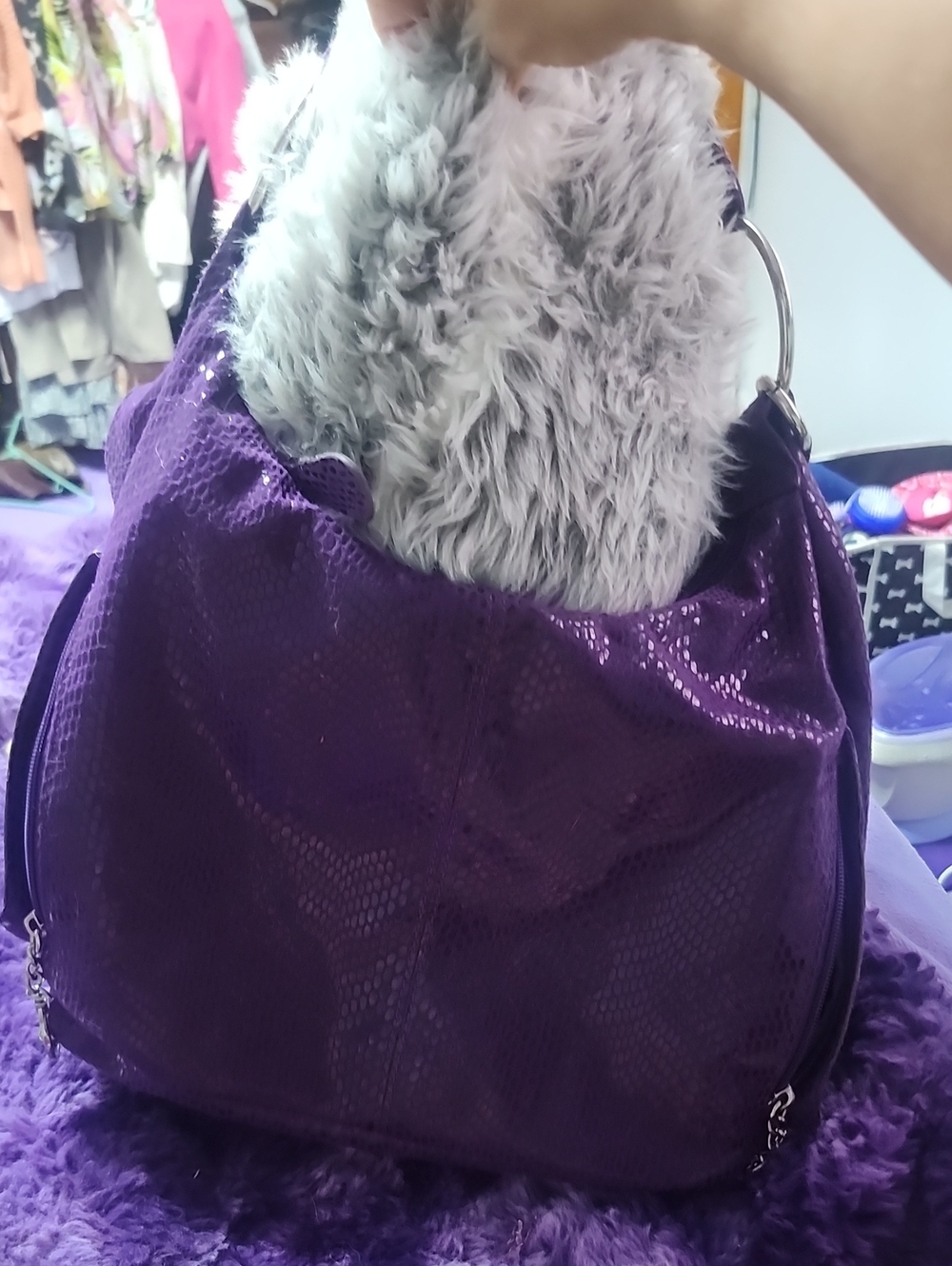 Jennifer Lopez handbag